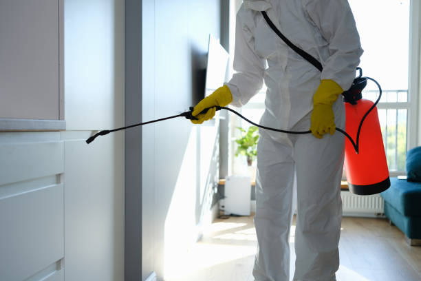 Best Mold Remediation for Schools in Park Falls, WI