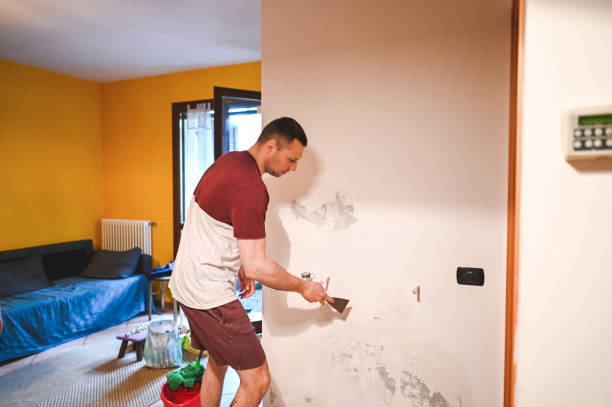Best Commercial Mold Remediation in Park Falls, WI